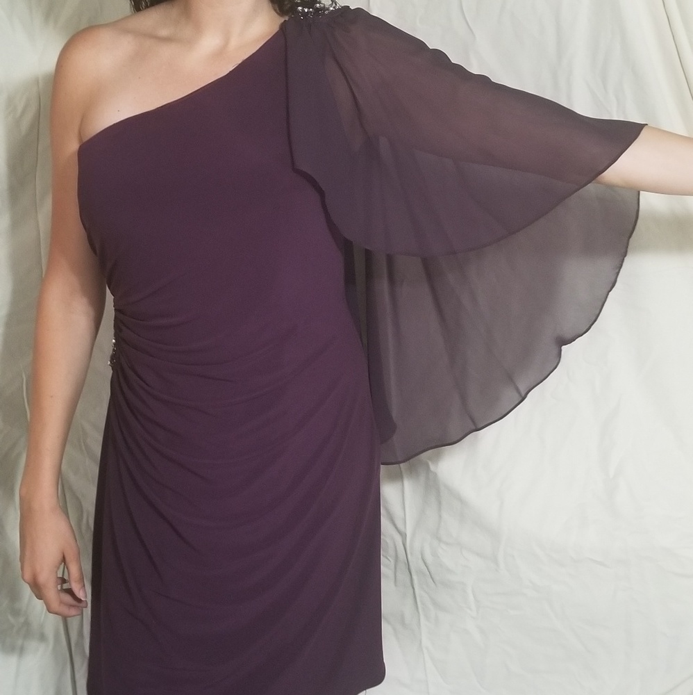 Sally Plum knee Length Formal Dress Extra Large